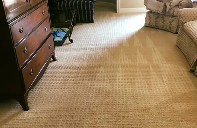 Carpet Cleaning Experience