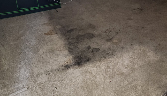 Bleach damaged carpet