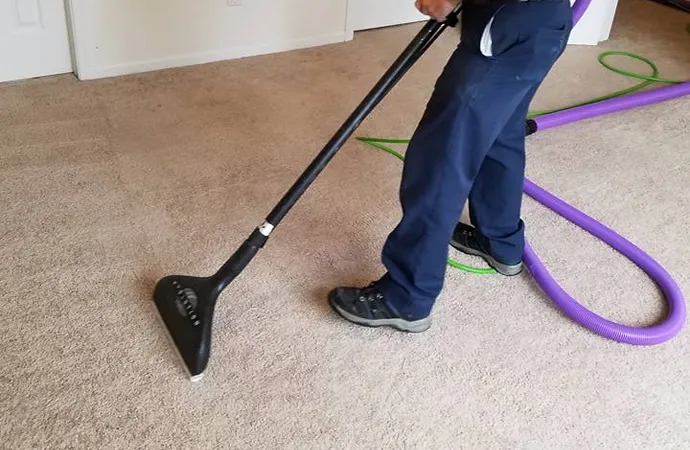 Carpet Cleaning Process