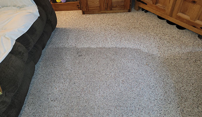 Carpet placed on floor