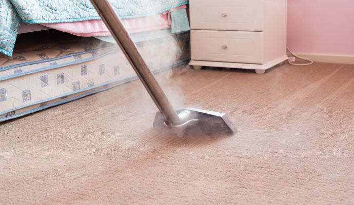 Carpet steam cleaning