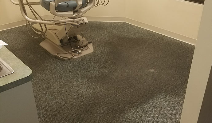 Water damaged carpet