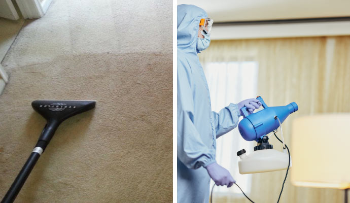 collage of professional carpet cleaning and odor removal