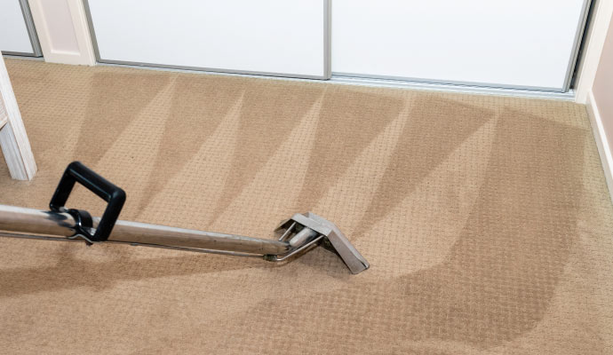 carpet cleaning with steam cleaner