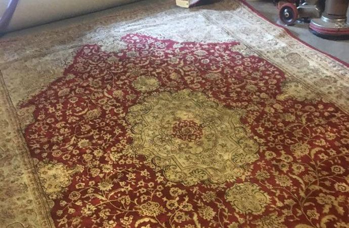 Rug Cleaning Services by Master Kleen