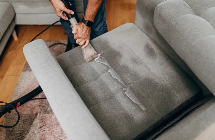 Upholstery cleaning expert