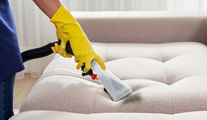 Sofa cleaning